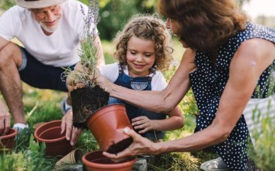 3 potentially useful options on how to reduce inheritance tax
