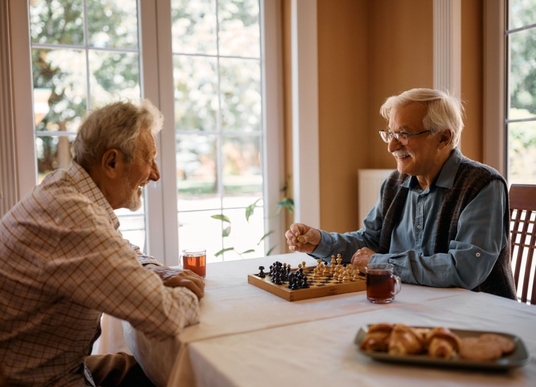 Two men playing chess at home.